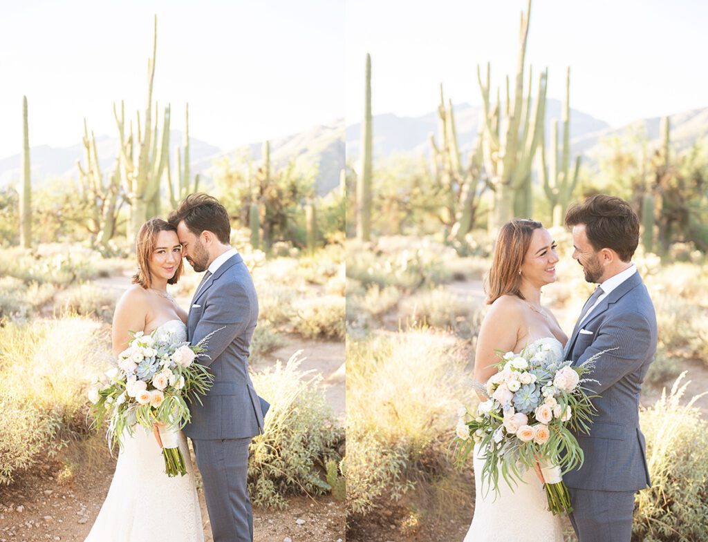 tucson elopement saguaros