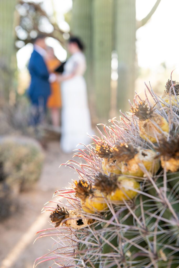 elopement photography Tucson