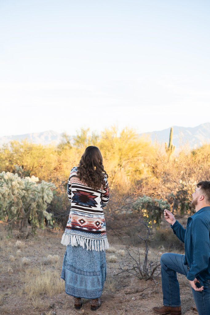 Tucson Proposal Photos