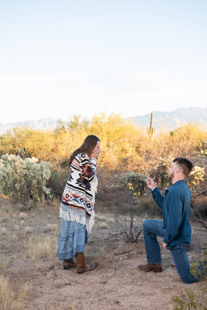 Tucson Proposal Photos