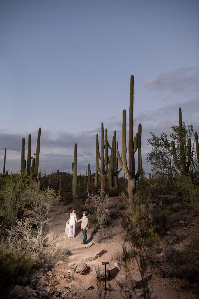 Tucson Saguaro West elopement
